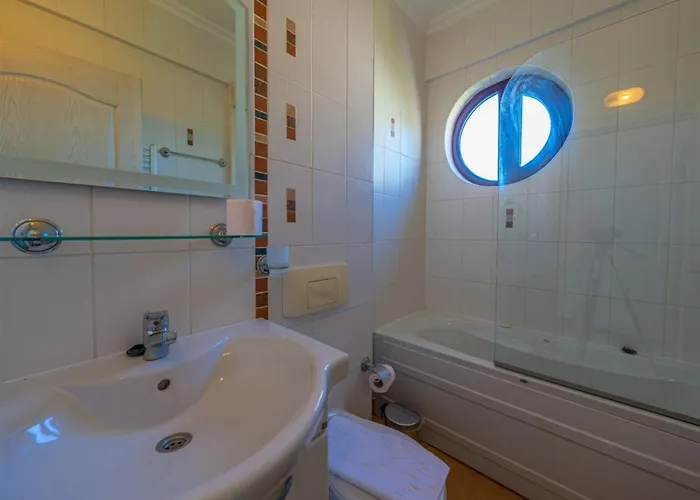 Lebrentals Aychin オルデニズ